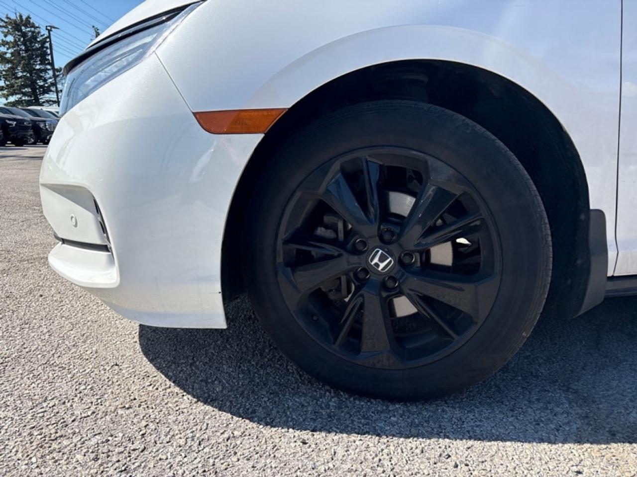 2024 Honda Odyssey Black Edition  SUNROOF|DVD| Photo