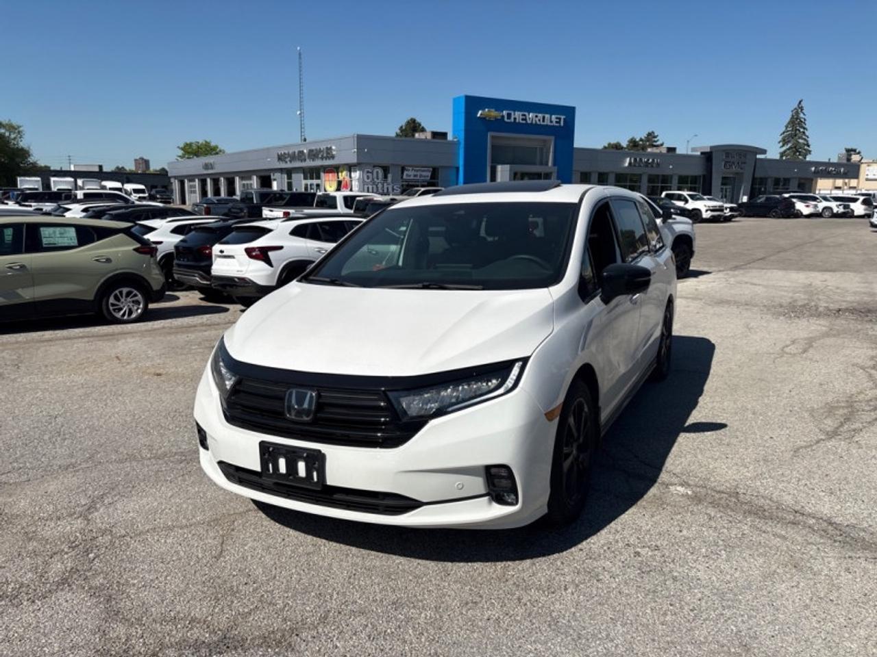 2024 Honda Odyssey Black Edition  SUNROOF|DVD| Photo