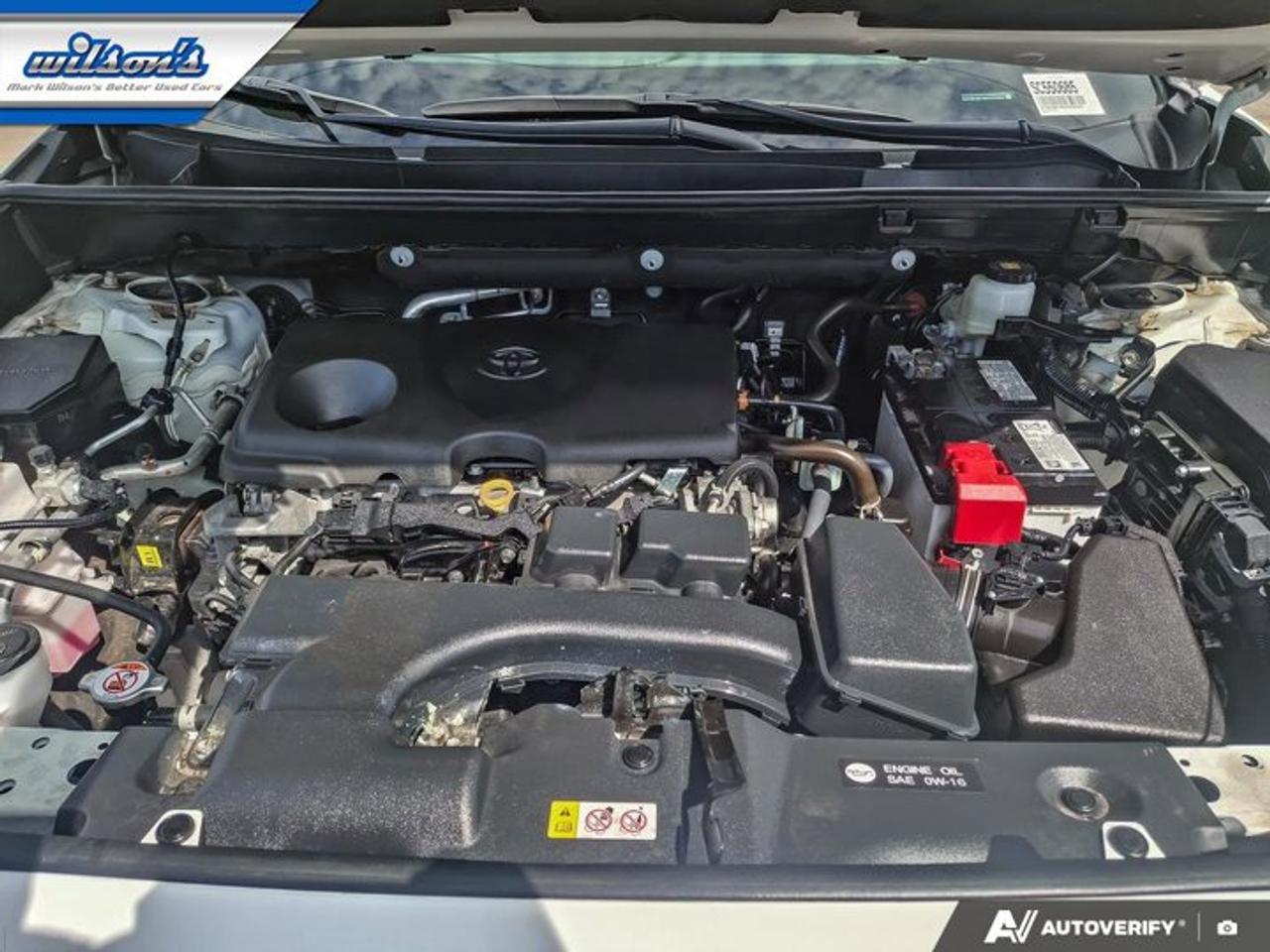 2025 Toyota RAV4 XLE AWD | Sunroof | Radar Cruise | Heated Wheel + Seats | Power Liftgate | Carplay | and More ! Photo