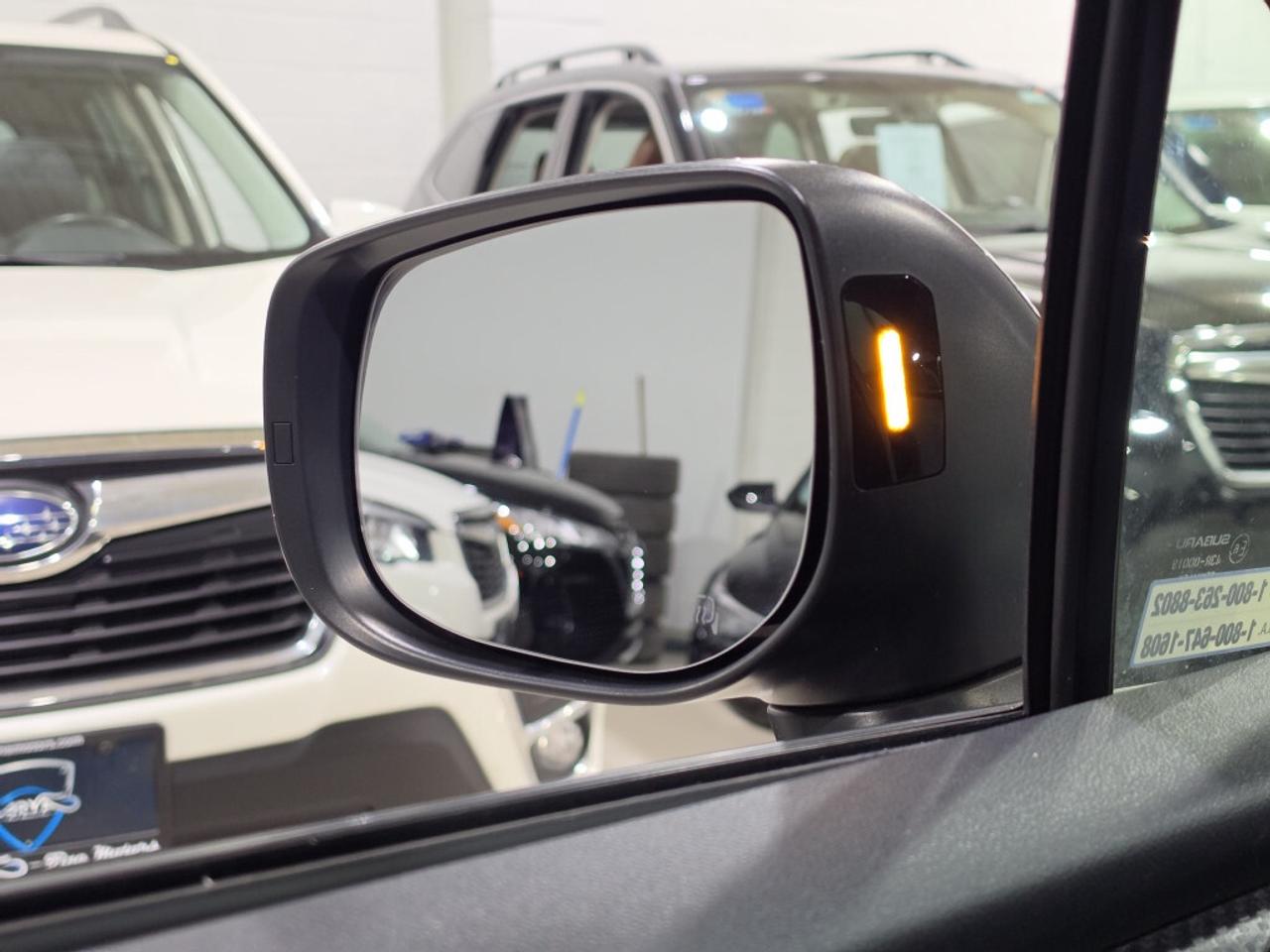 2019 Subaru Crosstrek SPORT W/EYESIGHT TECH PUSH START SUNROOF BLINDSPOT Photo