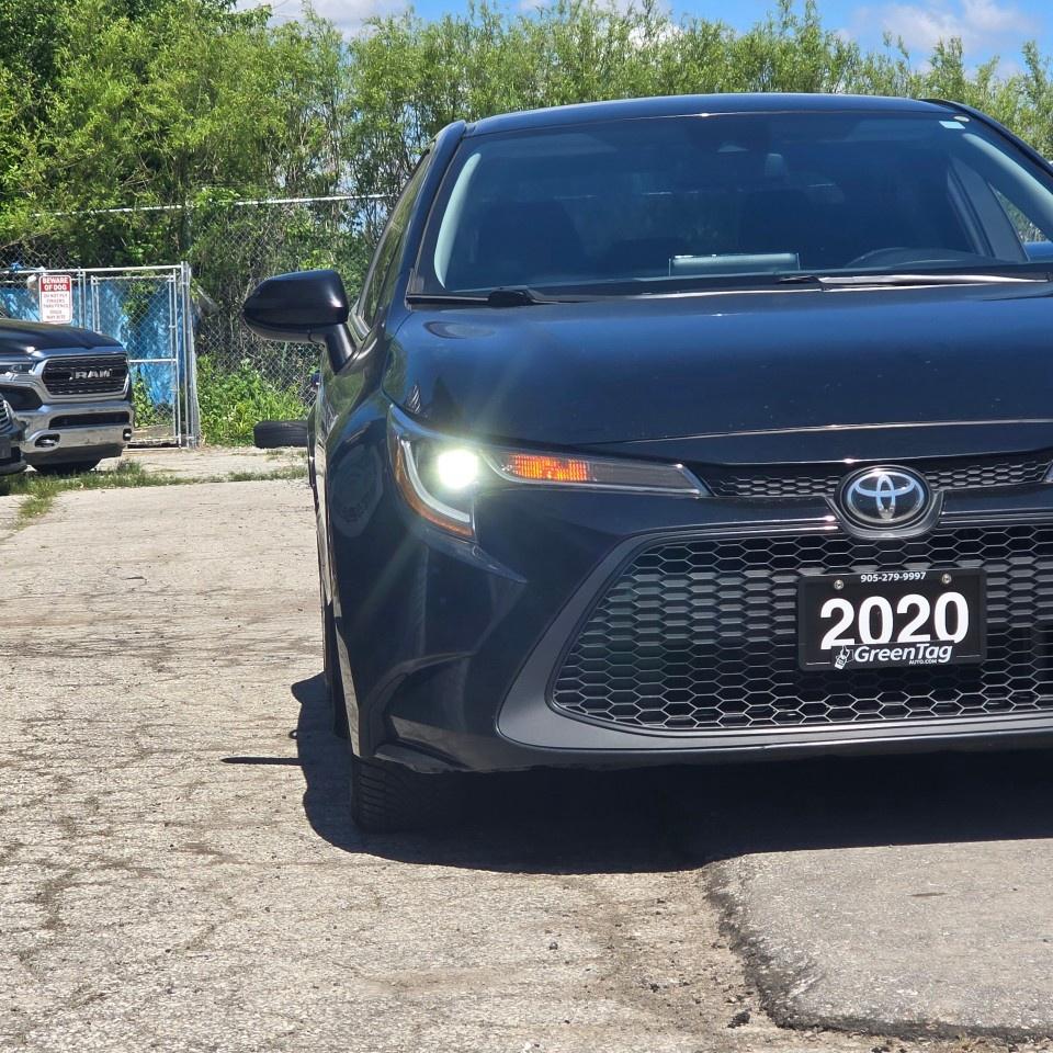 2020 Toyota Corolla LE CVT Photo