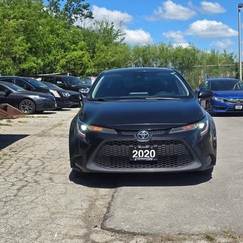 2020 Toyota Corolla LE CVT Photo
