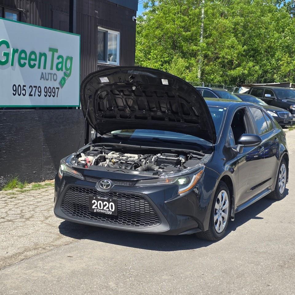 2020 Toyota Corolla LE CVT Photo