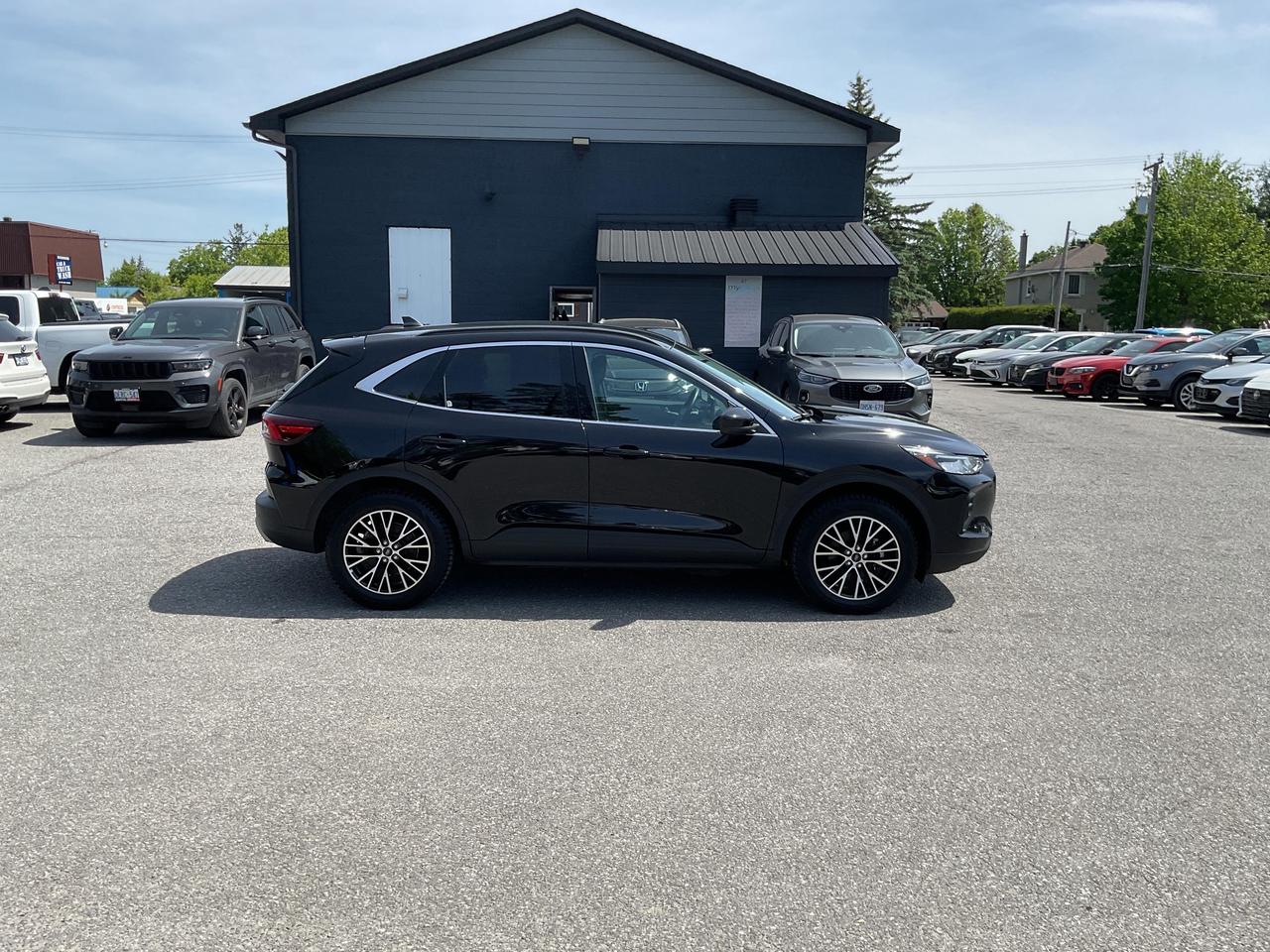 2025 Ford Escape PHEV 4dr Front-Wheel Drive Photo
