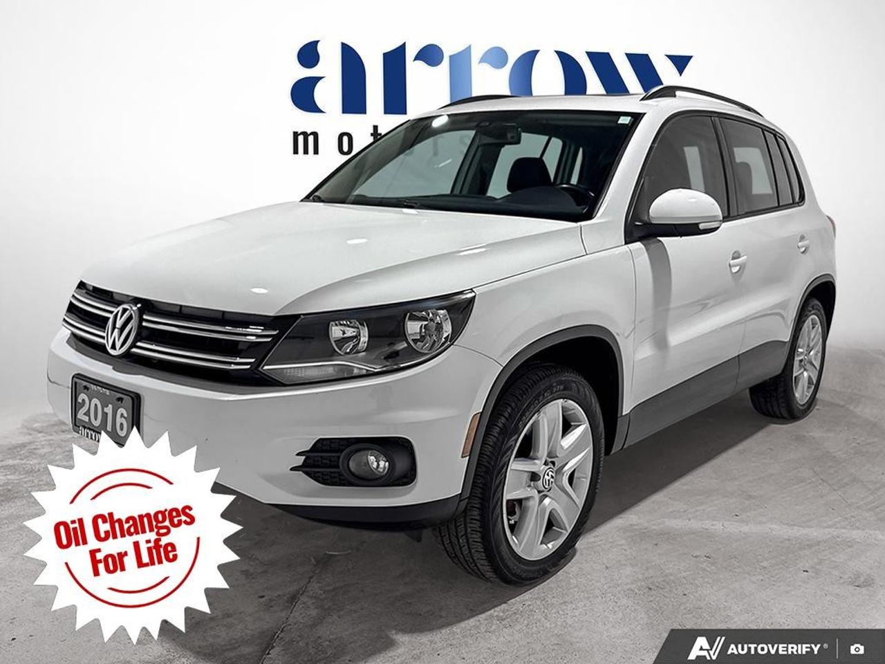 2016 Volkswagen Tiguan  Photo