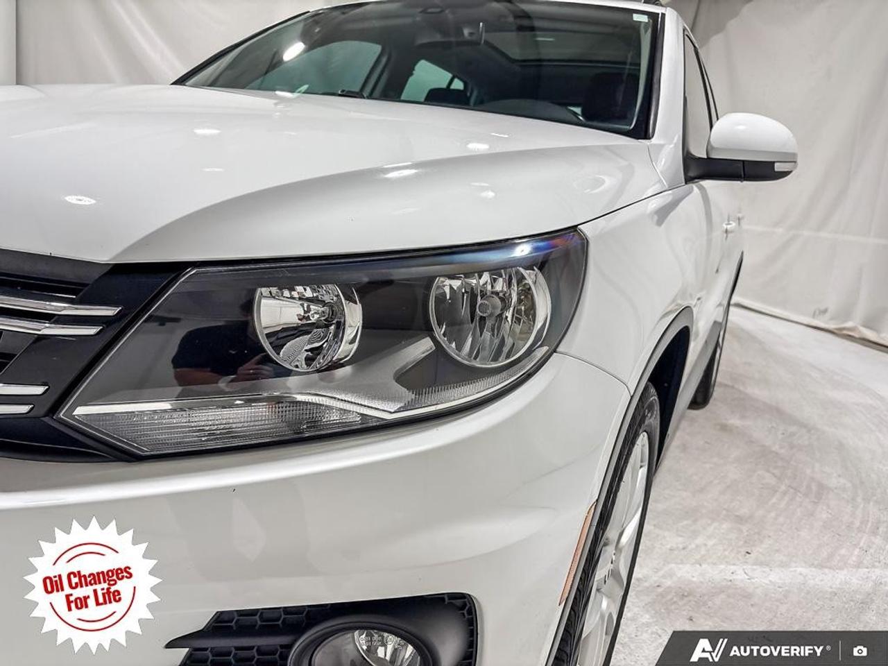 2016 Volkswagen Tiguan  Photo