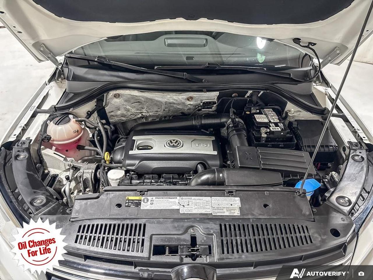 2016 Volkswagen Tiguan  Photo