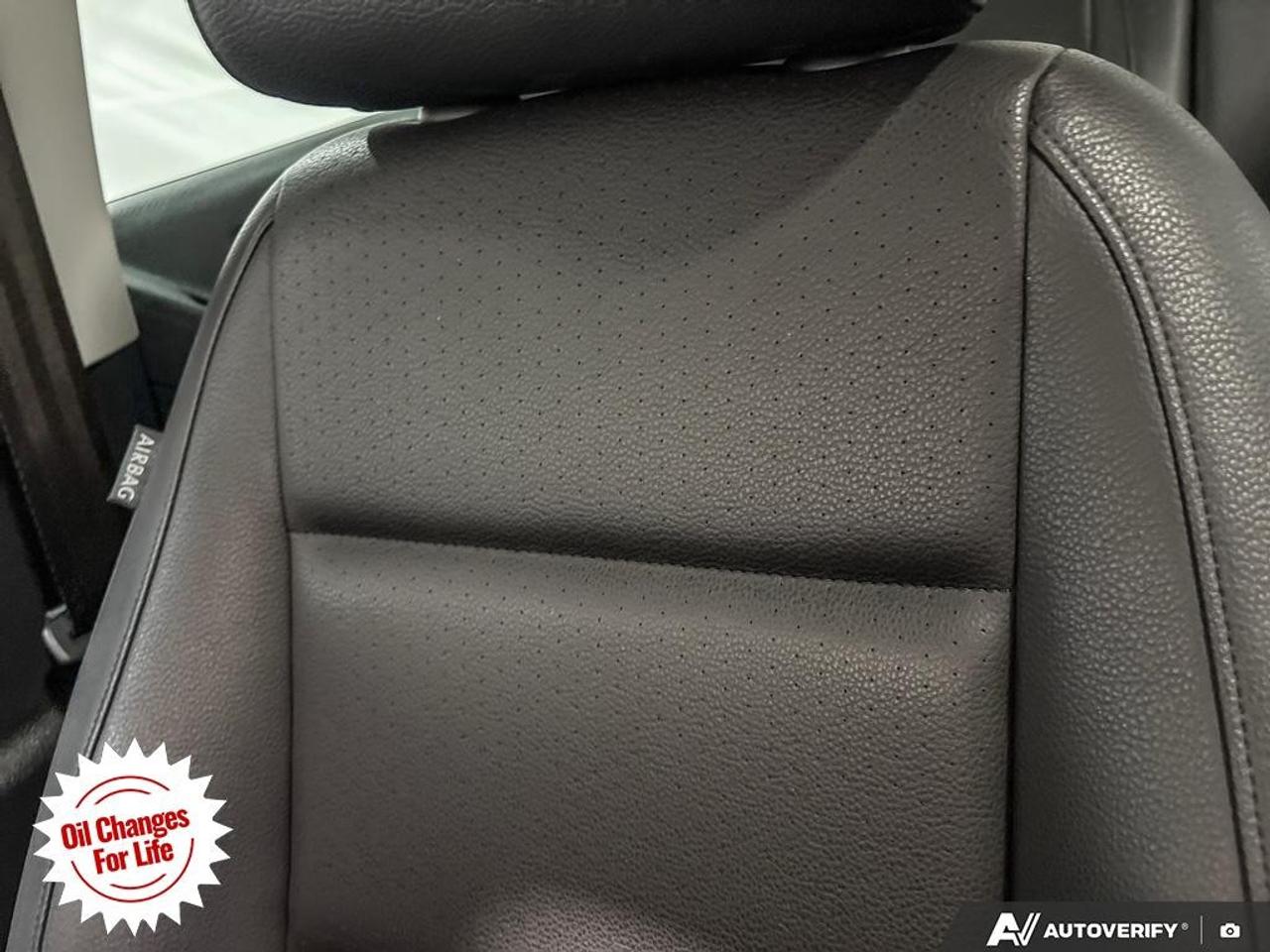 2016 Volkswagen Tiguan  Photo
