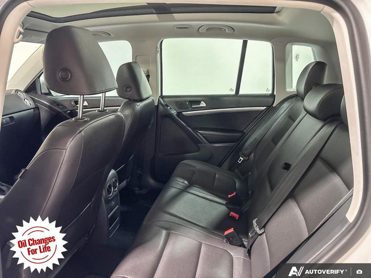 2016 Volkswagen Tiguan  Photo