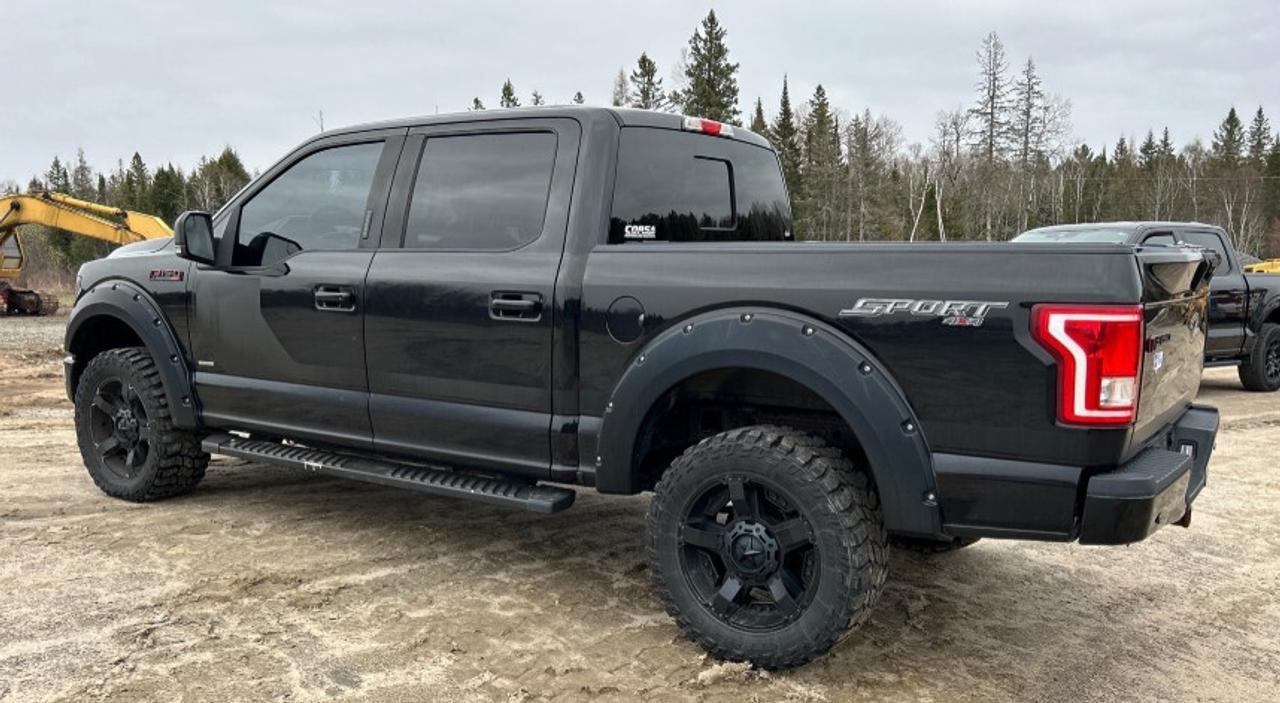 2016 Ford F-150 XLT Sport Special Edition - 3.5L V6 - 4x4 - 302A P Photo