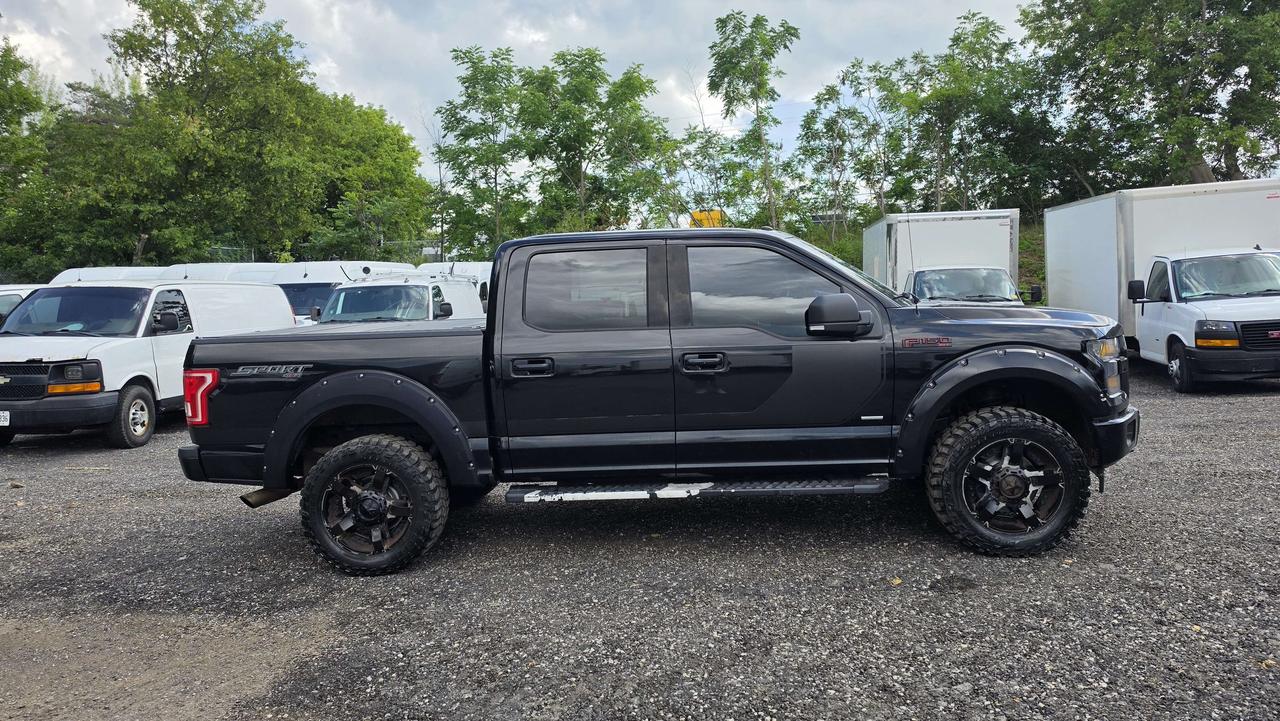 2016 Ford F-150 XLT Sport Special Edition - 3.5L V6 - - P-C63464 - -None Photo