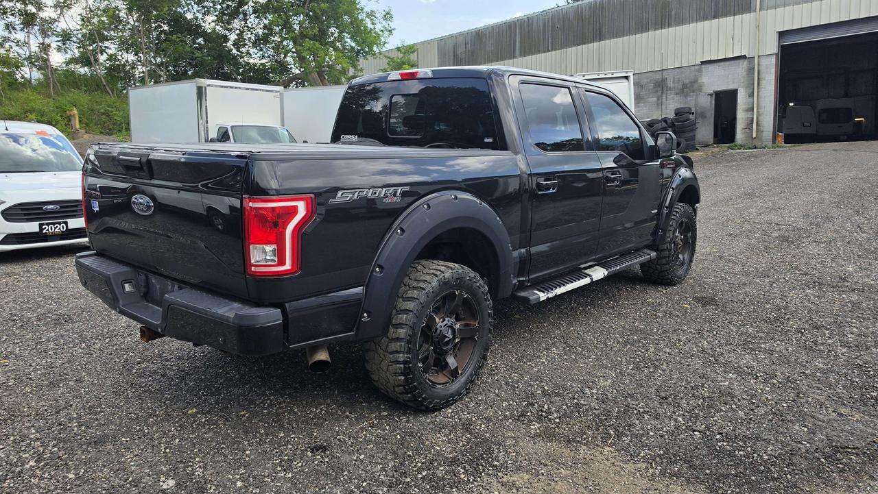 2016 Ford F-150 XLT Sport Special Edition - 3.5L V6 - - P-C63464 - -None Photo