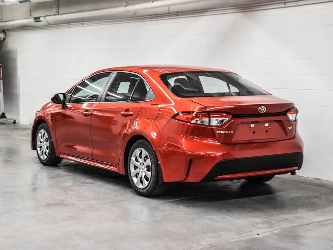 2020 Toyota Corolla  Photo