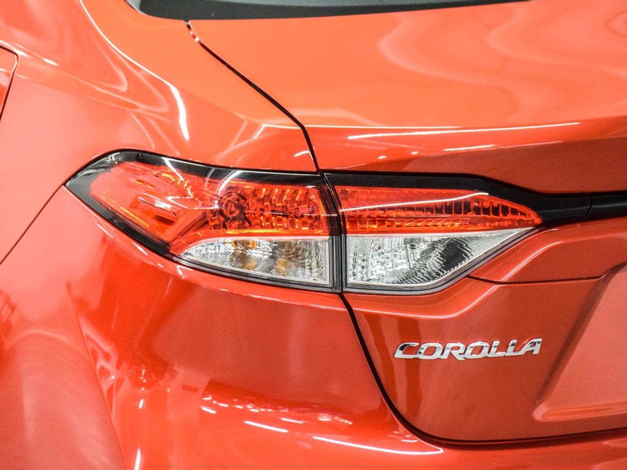 2020 Toyota Corolla  Photo