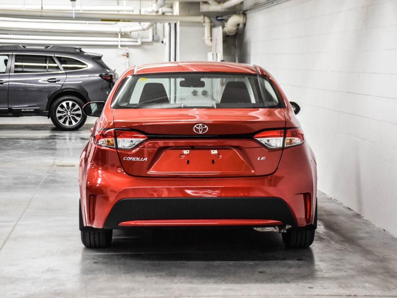 2020 Toyota Corolla  Photo