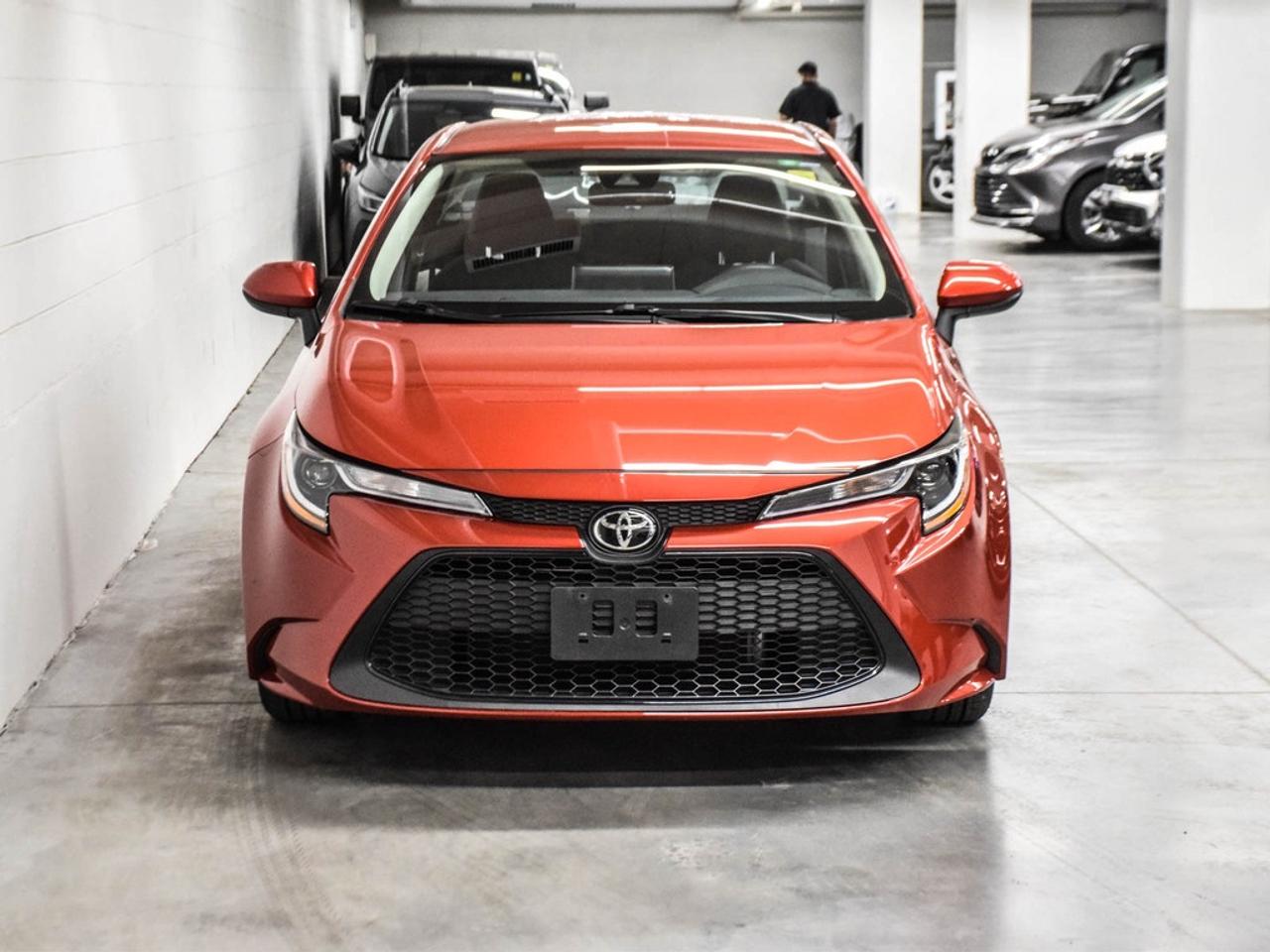 2020 Toyota Corolla  Photo