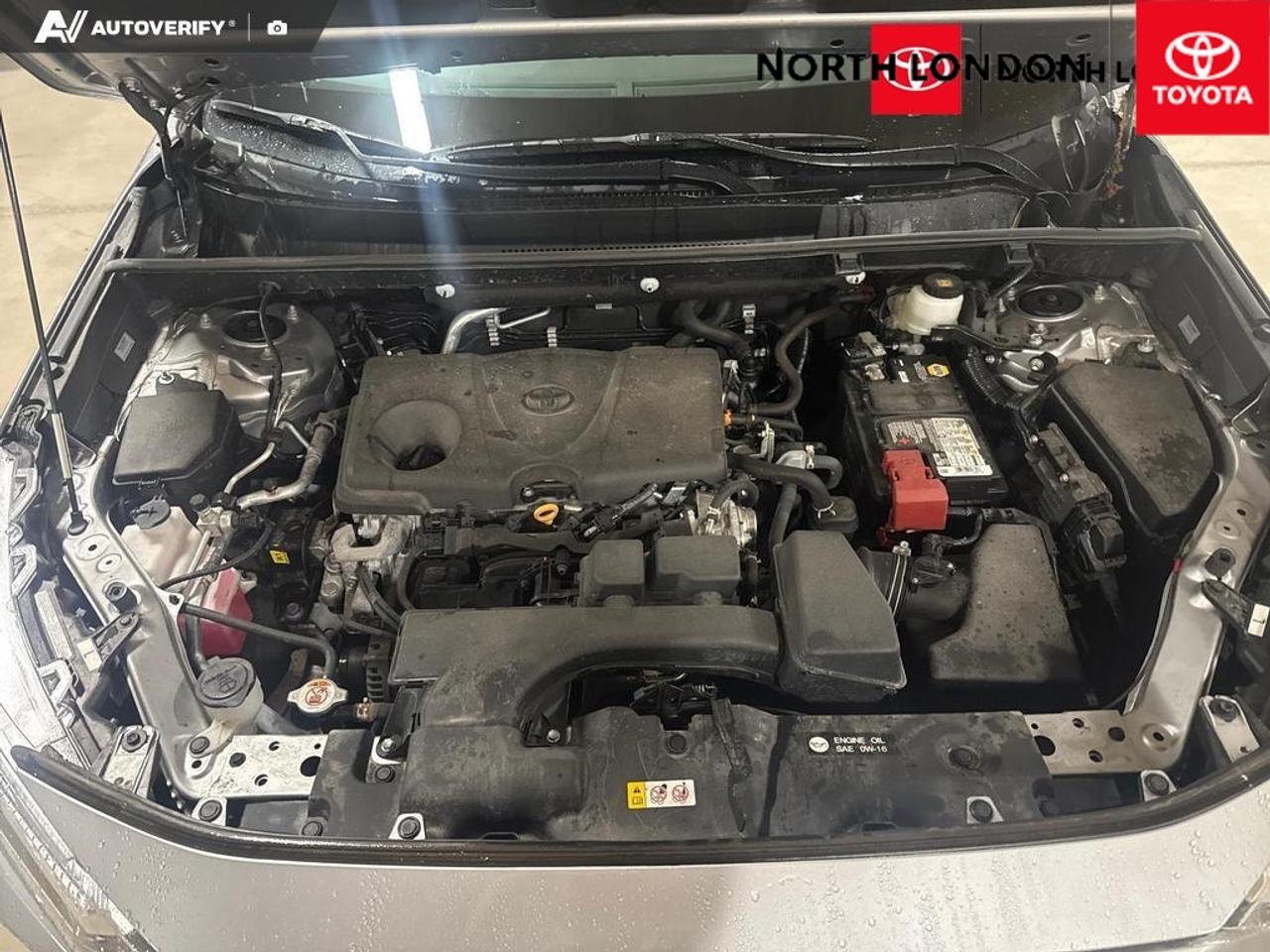 2023 Toyota RAV4 XLE 4dr All-wheel Drive Photo