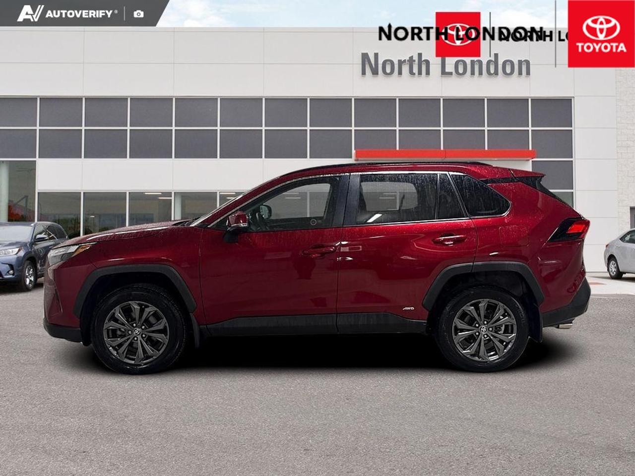 2024 Toyota RAV4 Hybrid XLE 4dr All-Wheel Drive Photo