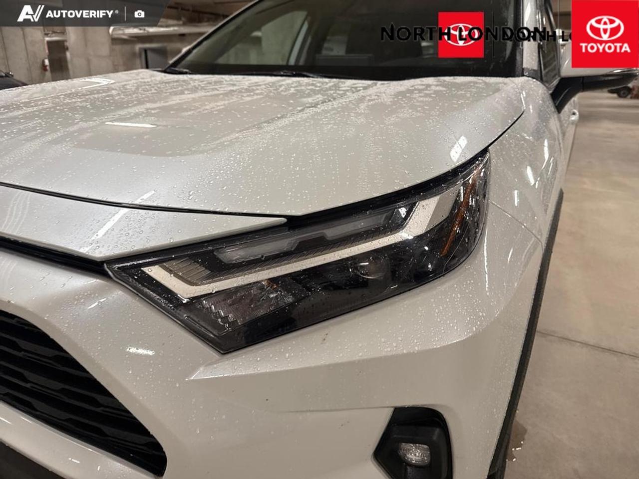 2025 Toyota RAV4 Hybrid XLE 4dr All-Wheel Drive Photo