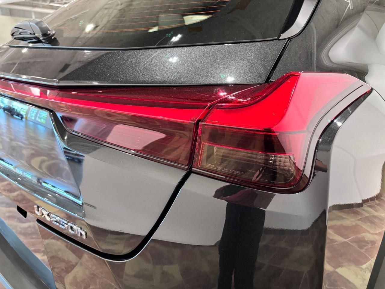 2019 Lexus UX 250H PREMIUM PACKAGE Photo