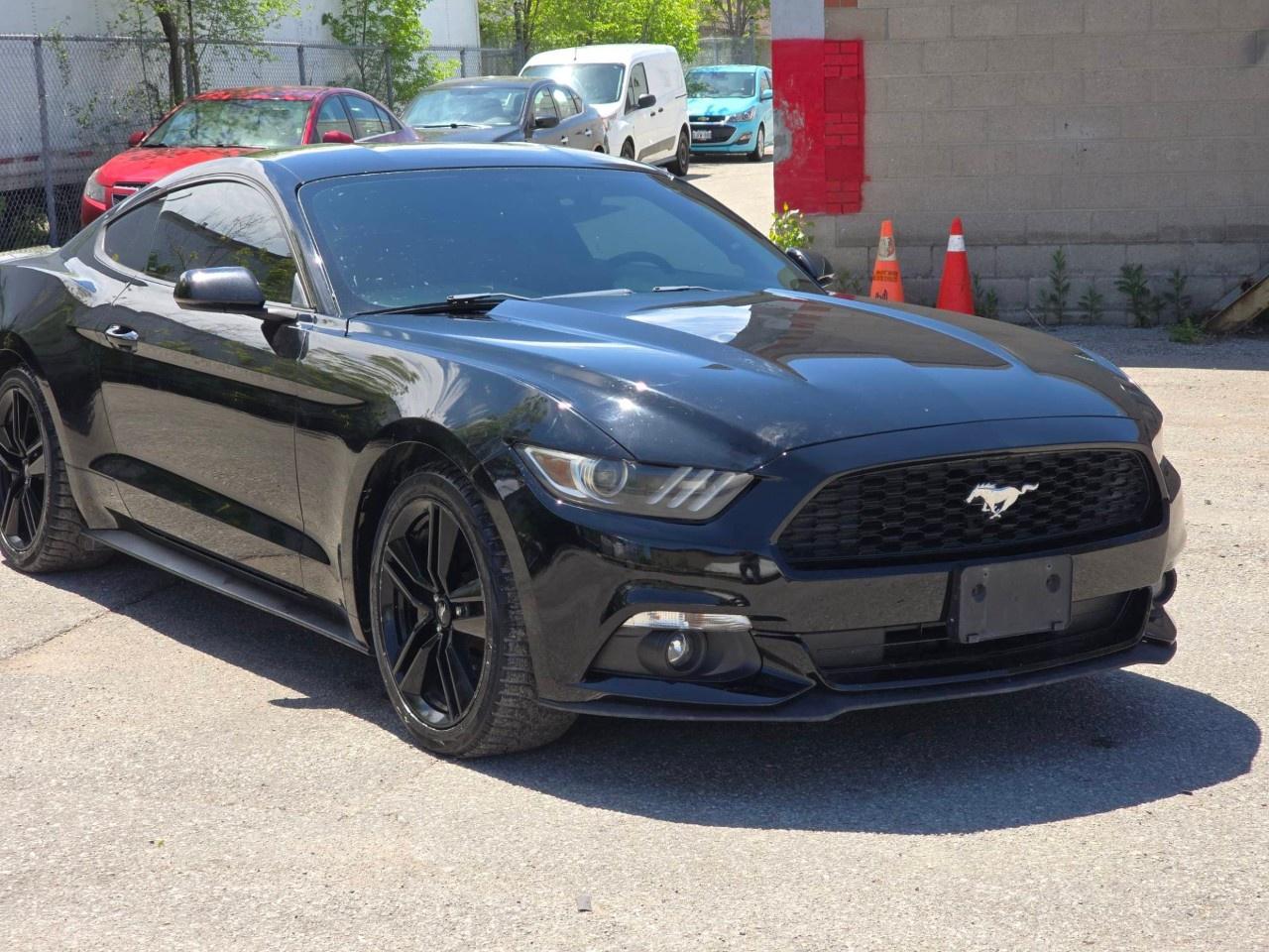 2016 Ford Mustang 2DR FASTBACK ECOBOOST PREMIUM Photo
