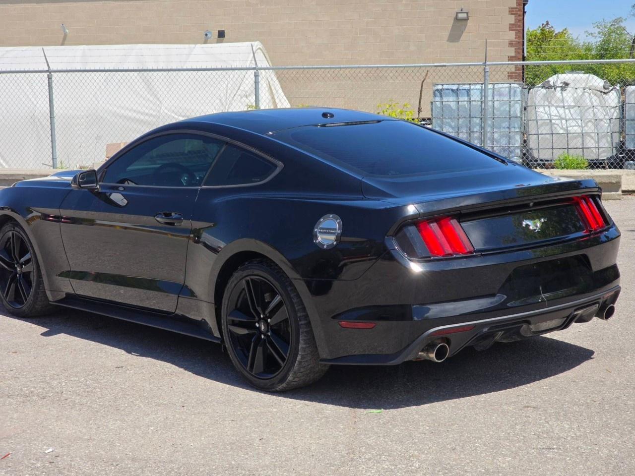 2016 Ford Mustang 2DR FASTBACK ECOBOOST PREMIUM Photo