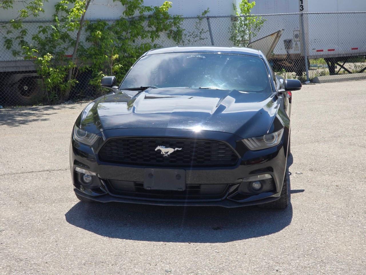 2016 Ford Mustang 2DR FASTBACK ECOBOOST PREMIUM Photo