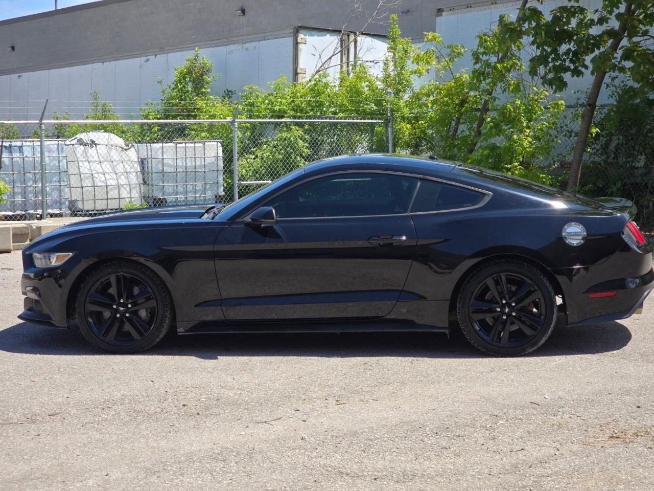 2016 Ford Mustang 2DR FASTBACK ECOBOOST PREMIUM Photo