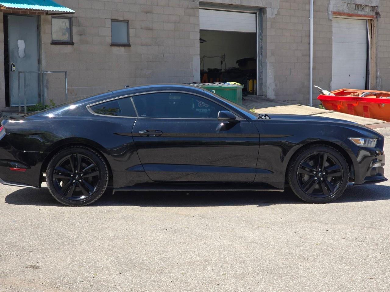 2016 Ford Mustang 2DR FASTBACK ECOBOOST PREMIUM Photo