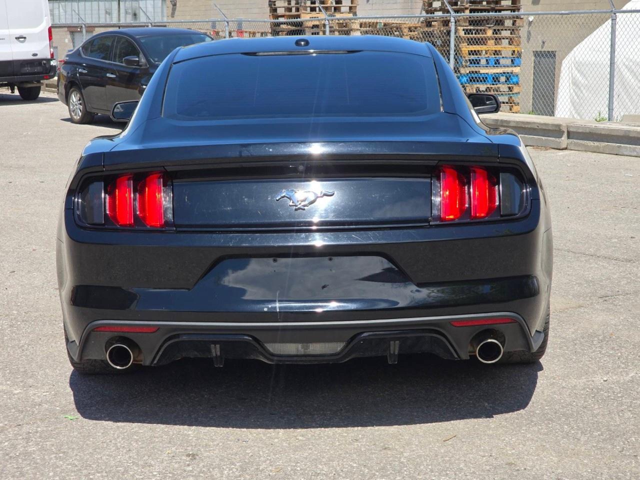2016 Ford Mustang 2DR FASTBACK ECOBOOST PREMIUM Photo