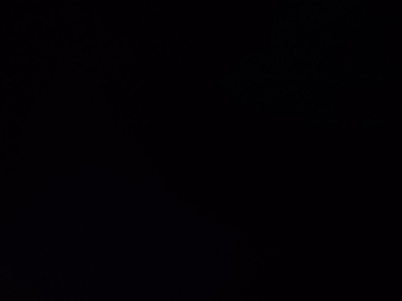 14191682