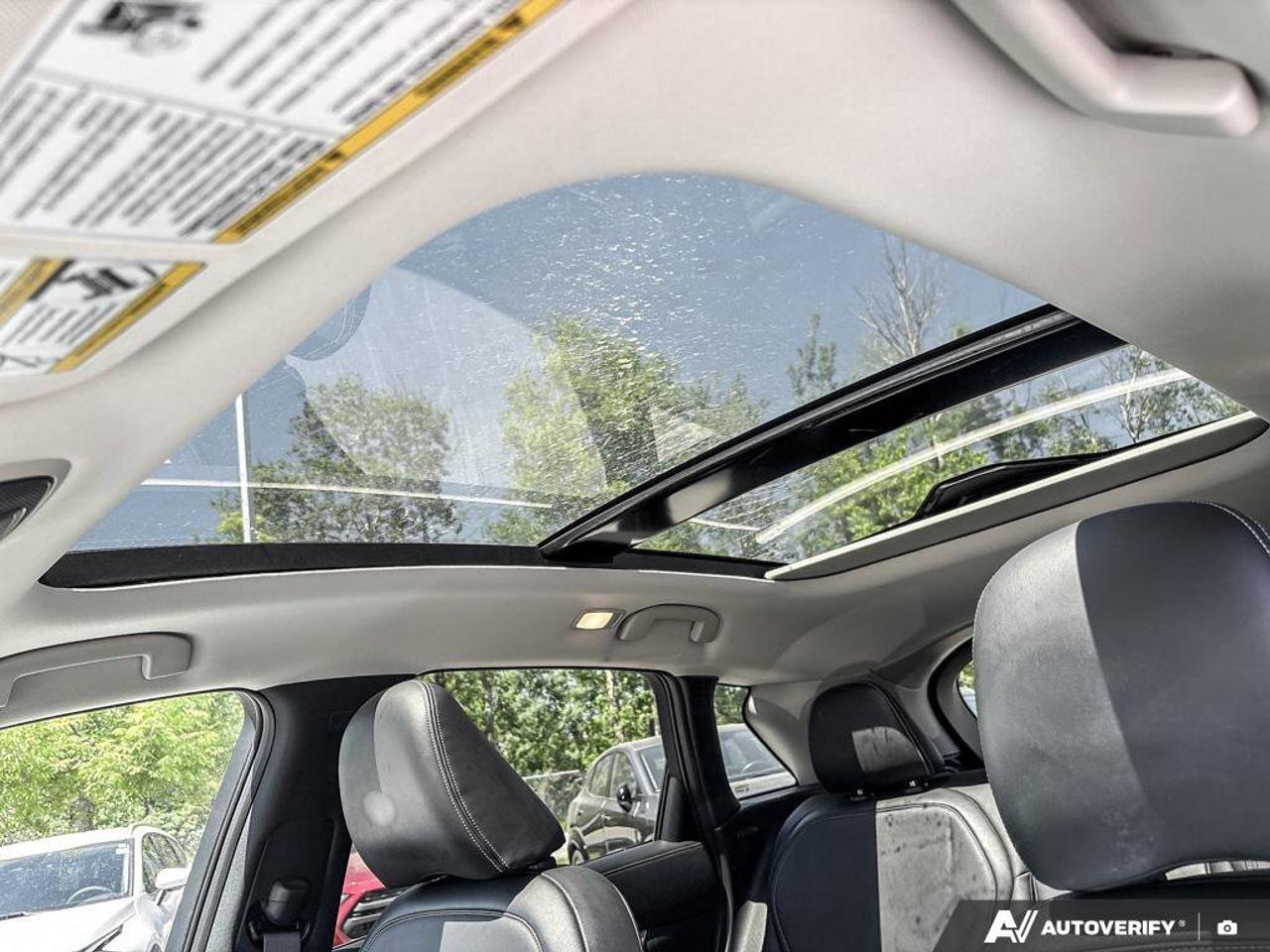 2019 Infiniti QX50 LUXE Photo