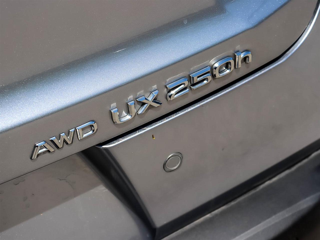 2024 Lexus UX UX 250h CVT Photo