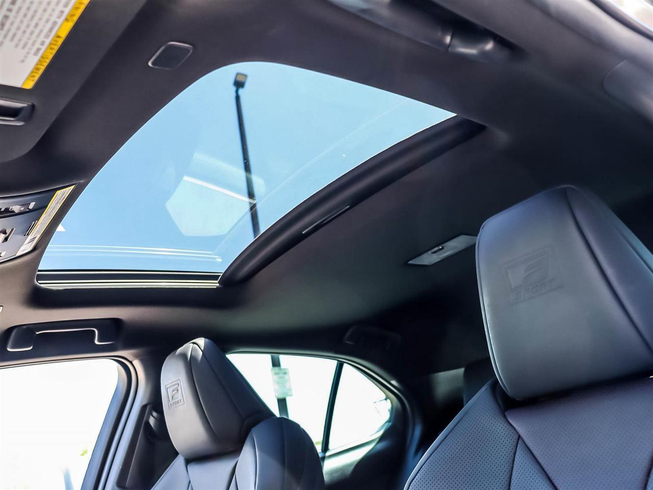2024 Lexus UX UX 250h CVT Photo