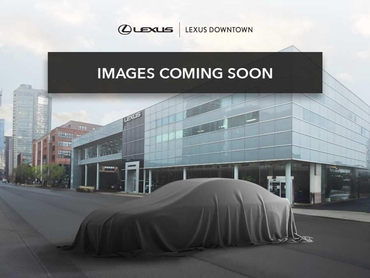 2022 Lexus RX 350 Luxury Pkg Nav Roof BSM Lexus Certified Photo