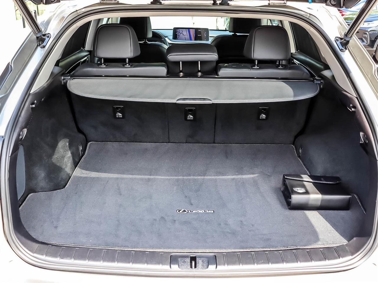 2022 Lexus RX 350 Luxury Pkg Nav Roof BSM Lexus Certified Photo