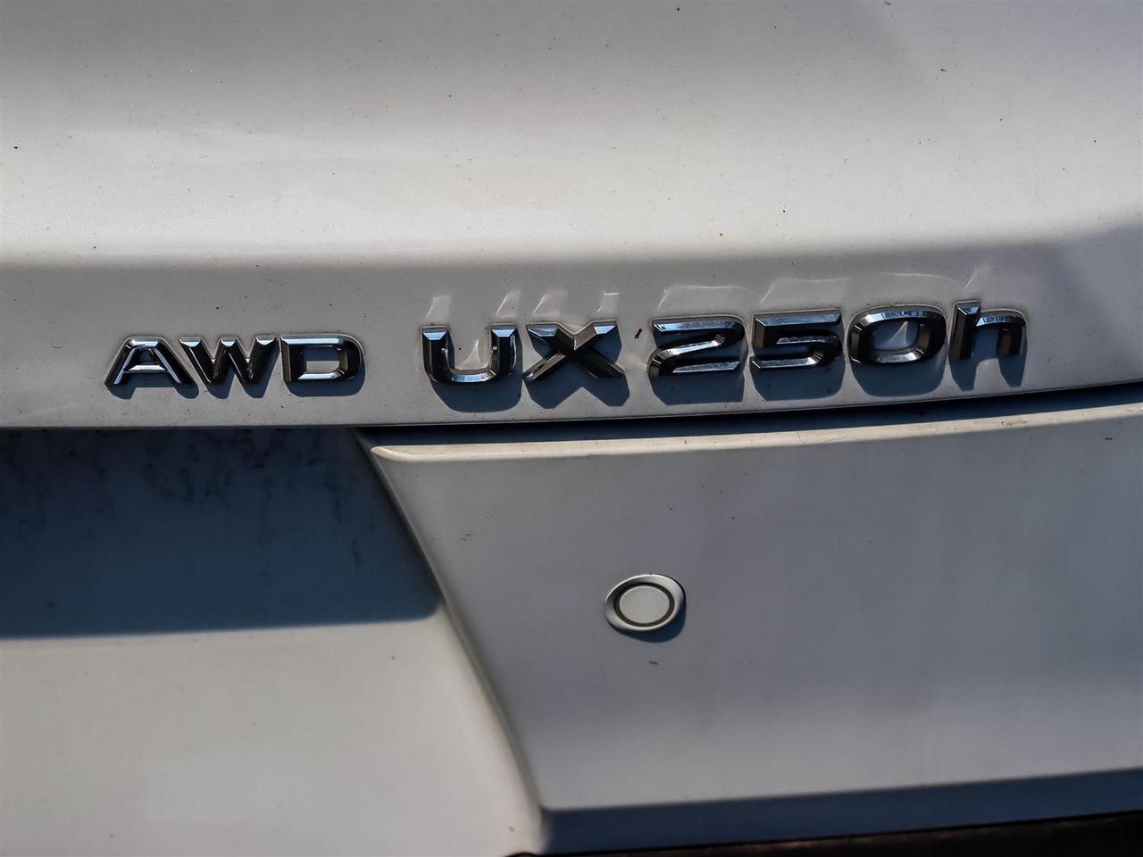 2024 Lexus UX 250h F Sport 2 Nav Sunroof Leather Lexus Certified Photo