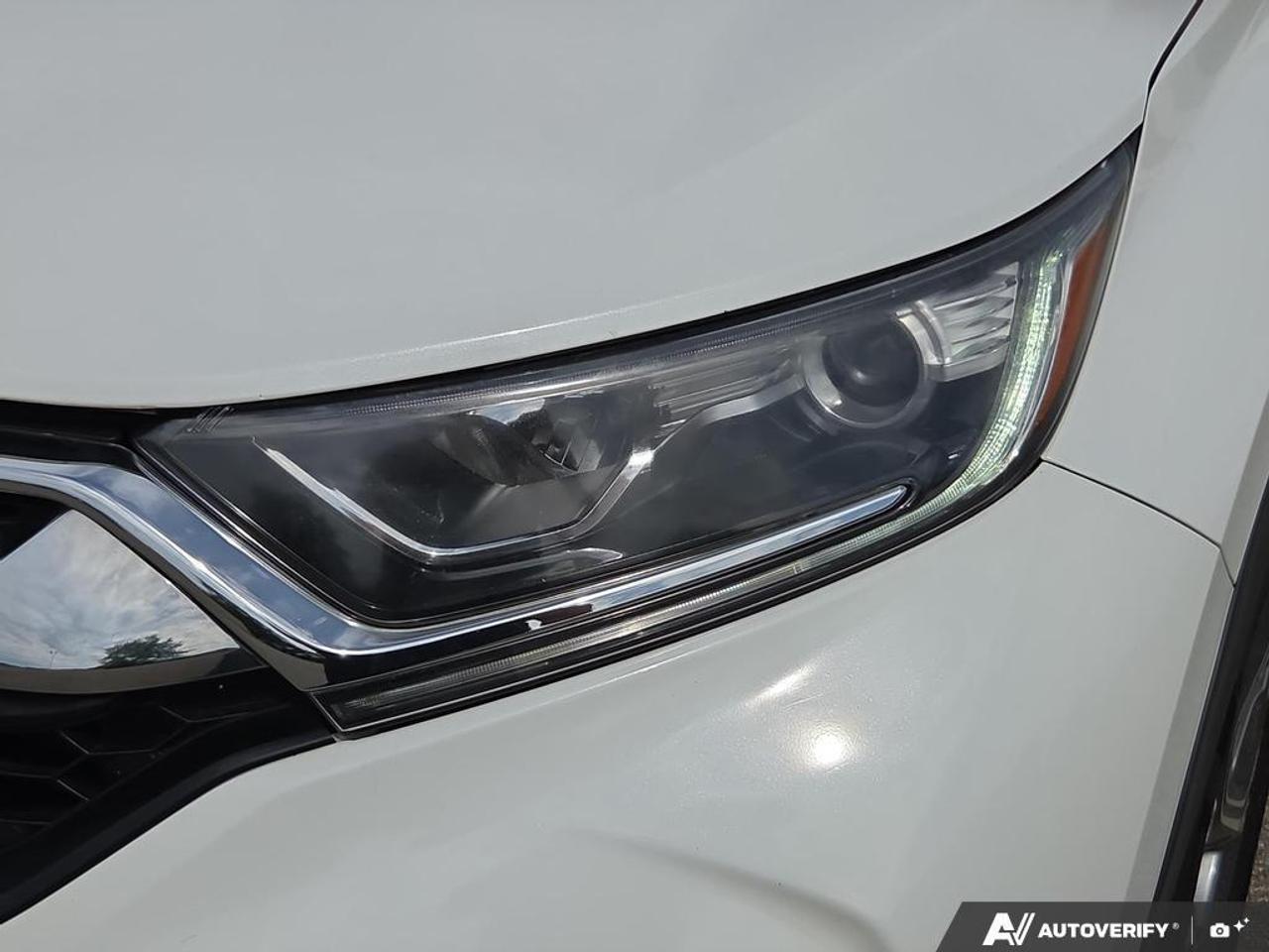 2019 Honda CR-V EX-L AWD   LEATHER   SUNROOF   NO CLAIMS Photo