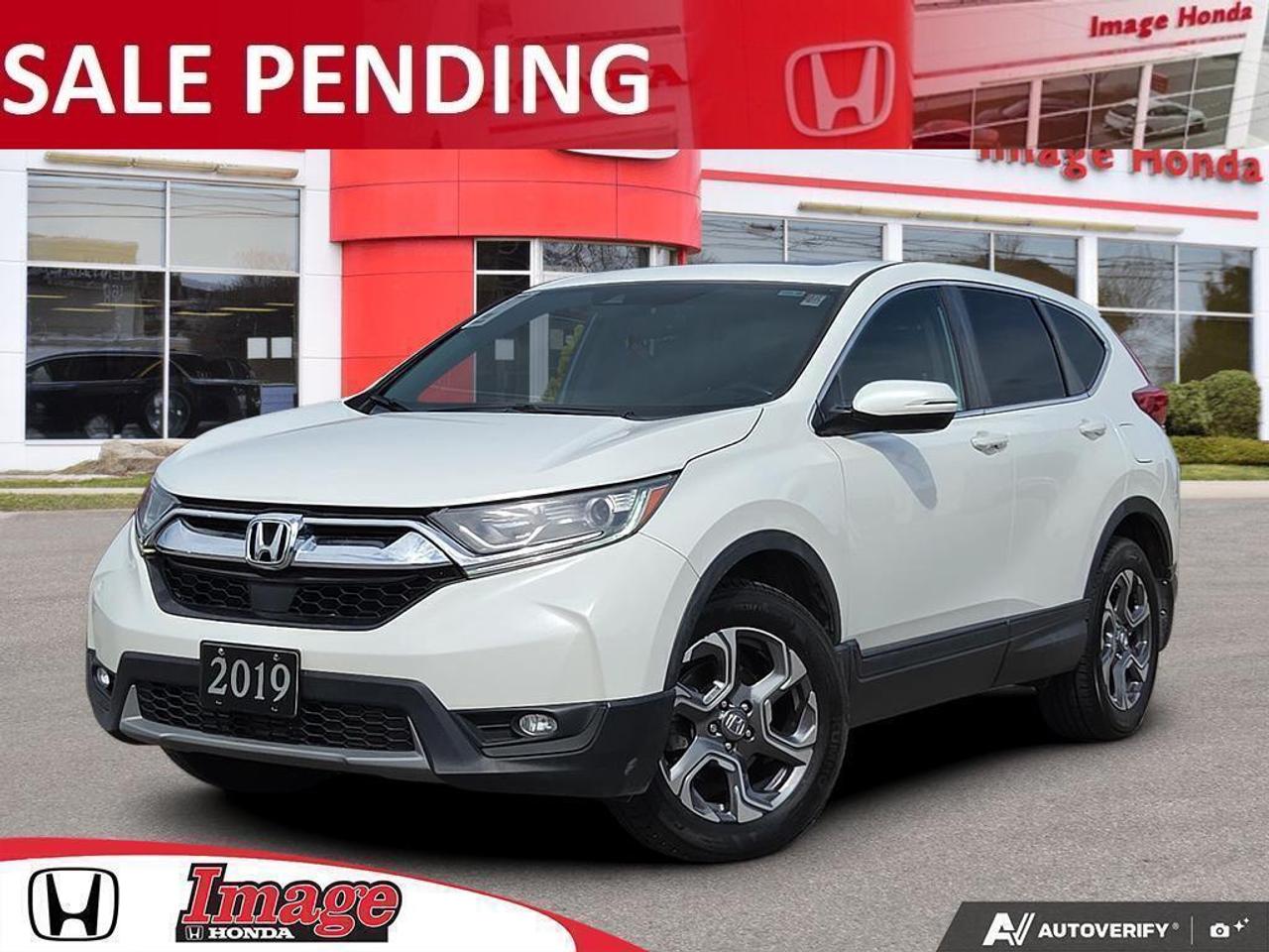 2019 Honda CR-V EX-L AWD   LEATHER   SUNROOF   NO CLAIMS Photo