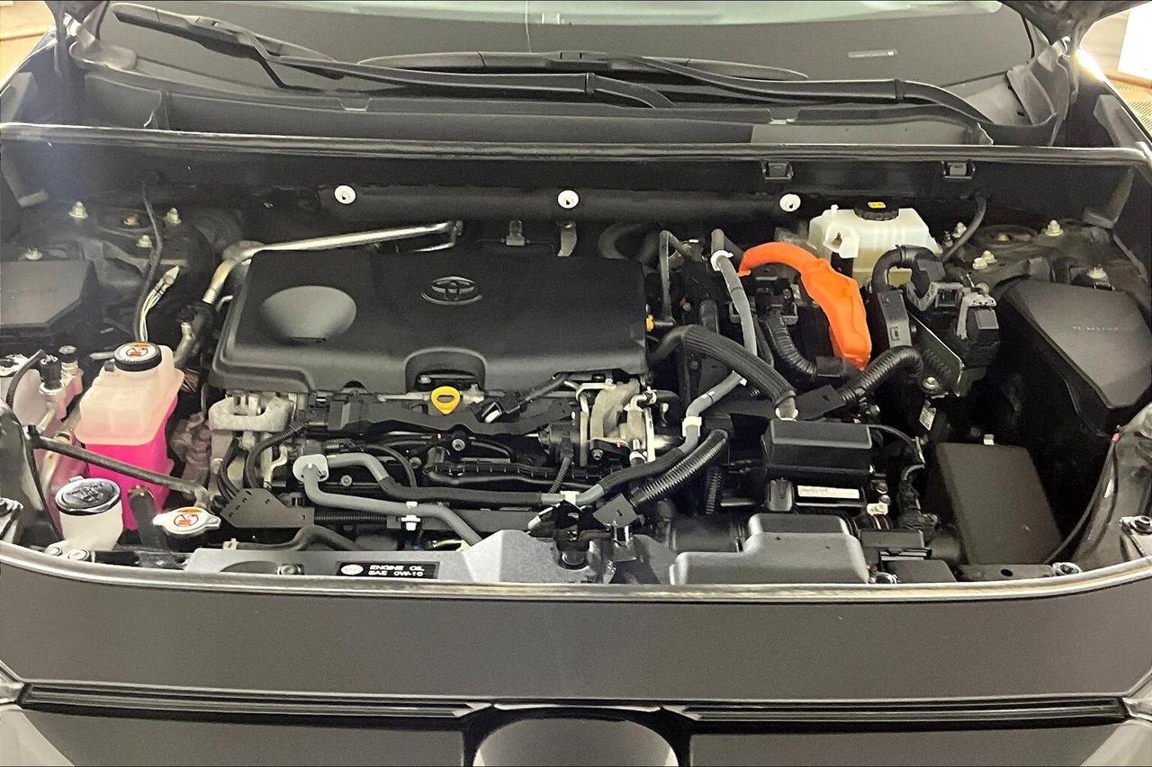 2020 Toyota RAV4 Hybrid LE AWD Photo