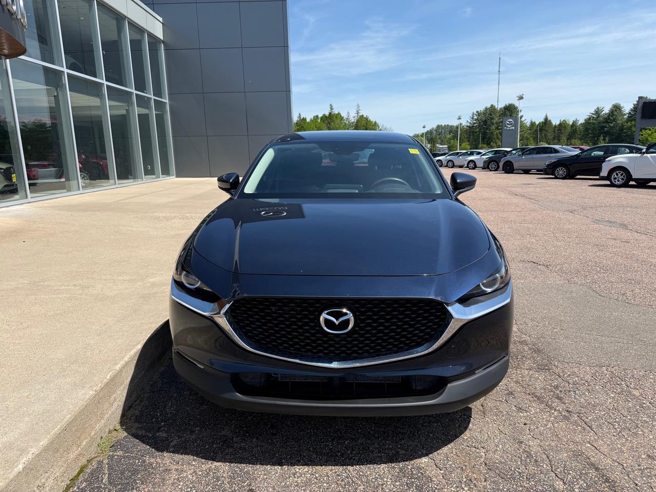 2022 Mazda CX-30 GX 4dr i-ACTIV All-Wheel Drive Sport Utility Photo