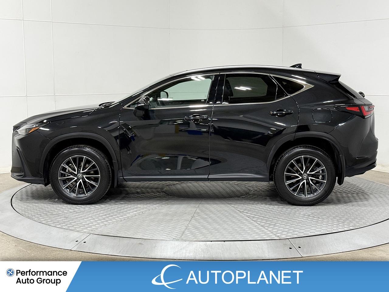 2024 Lexus NX 350 Premium AWD, Sunroof, Back Up Cam, Bluetooth! Photo