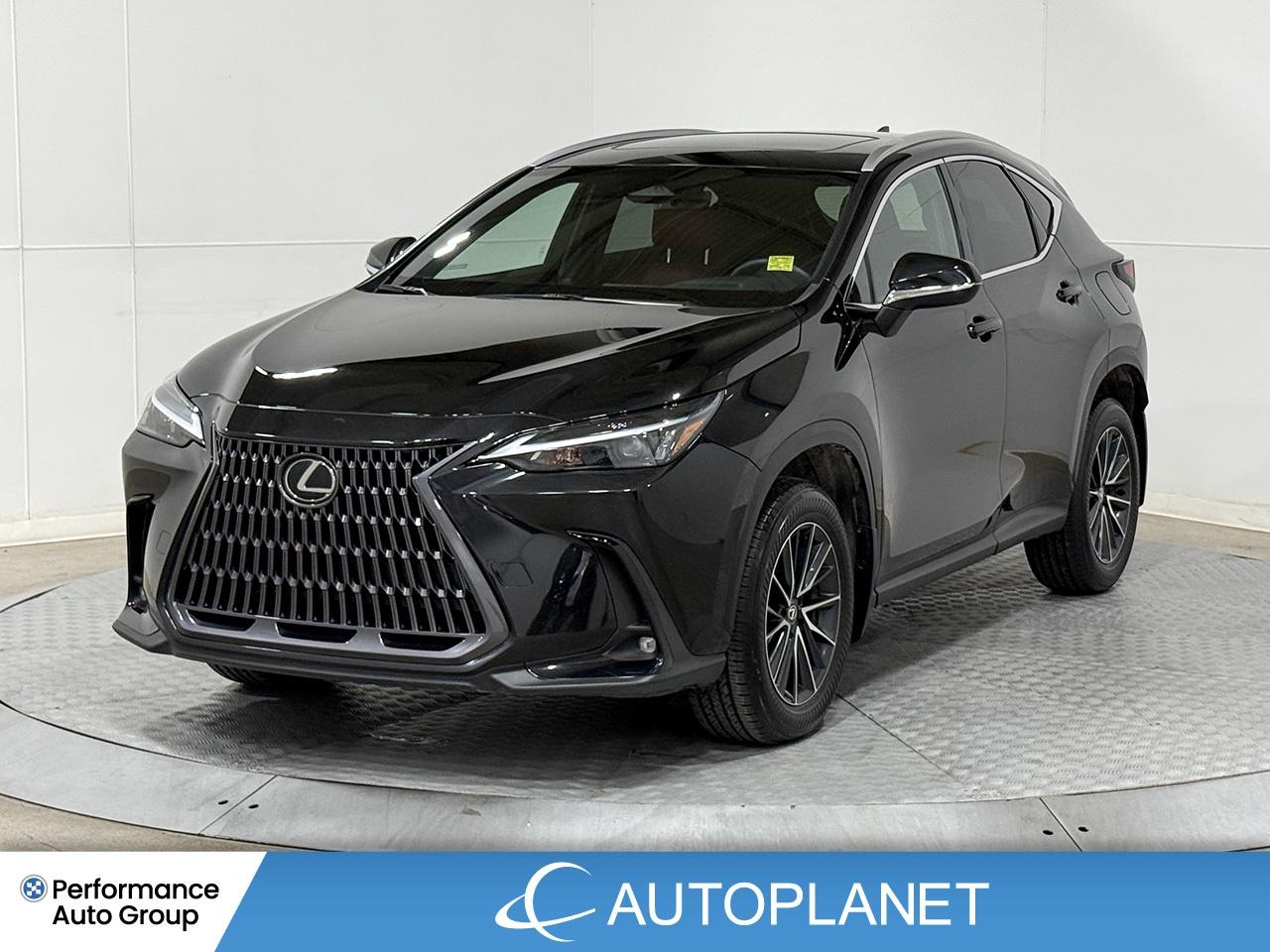 2024 Lexus NX 350 Premium AWD, Sunroof, Back Up Cam, Bluetooth! Photo