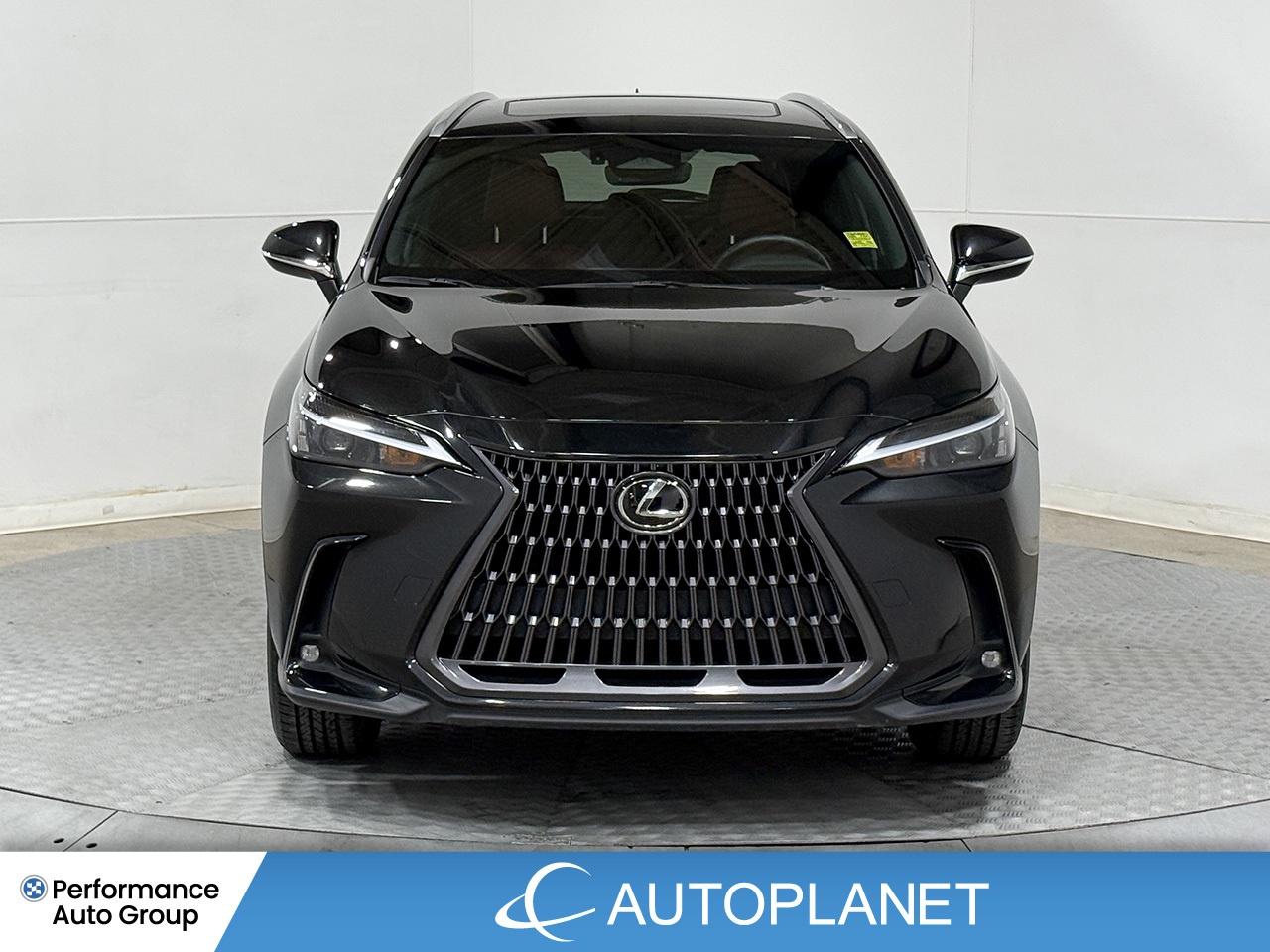 2024 Lexus NX 350 Premium AWD, Sunroof, Back Up Cam, Bluetooth! Photo