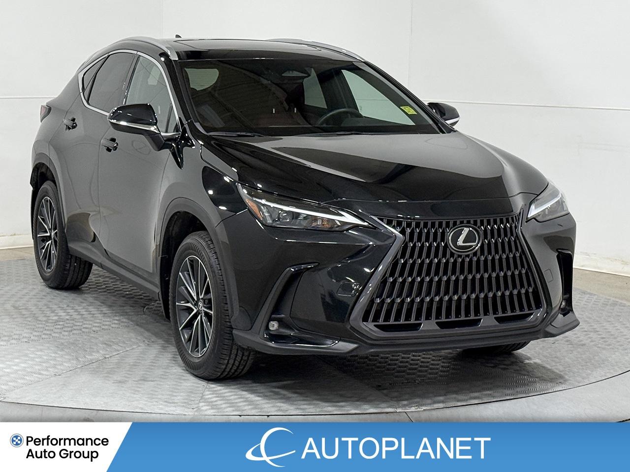 2024 Lexus NX 350 Premium AWD, Sunroof, Back Up Cam, Bluetooth! Photo