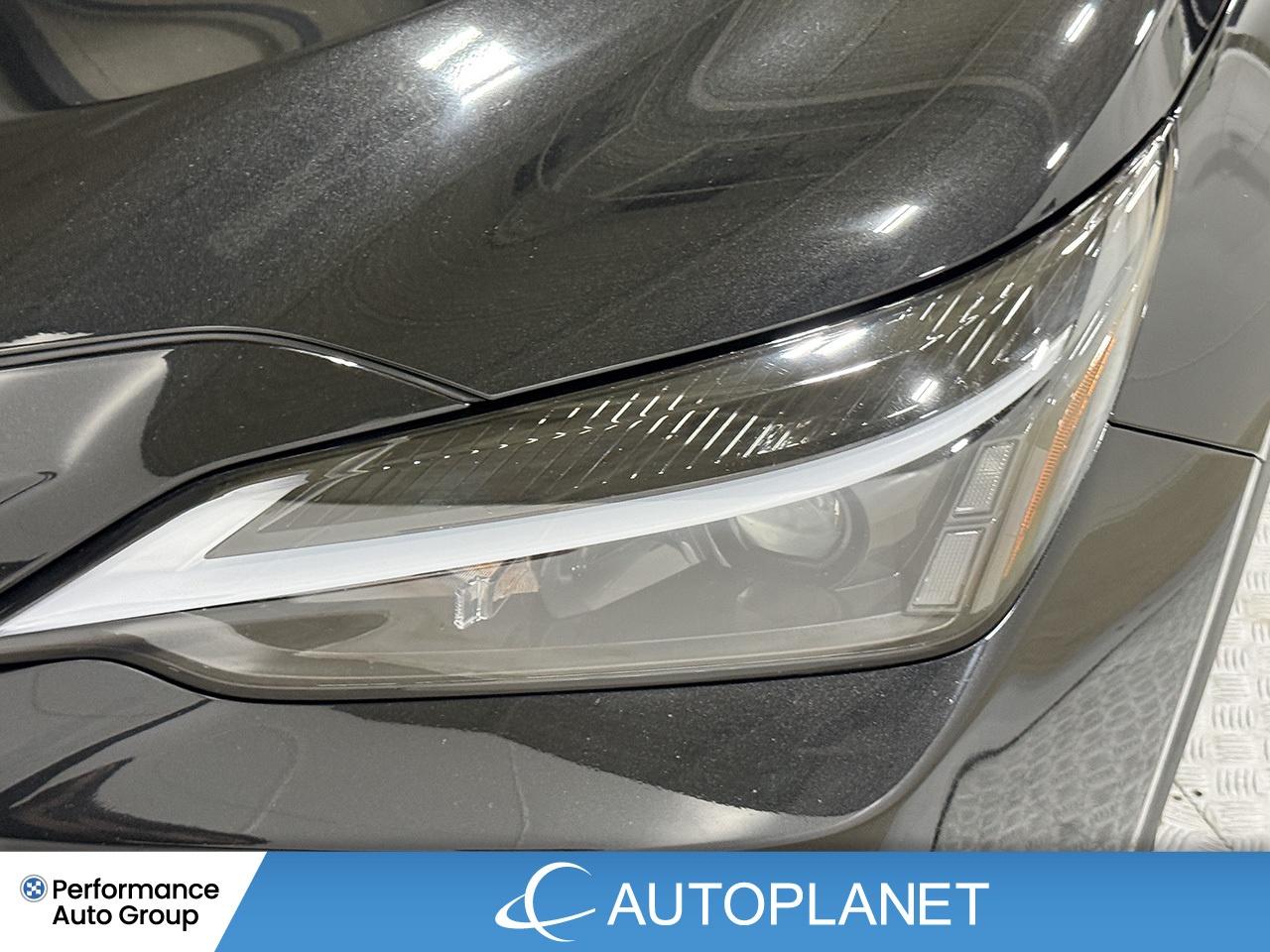2024 Lexus NX 350 Premium AWD, Sunroof, Back Up Cam, Bluetooth! Photo