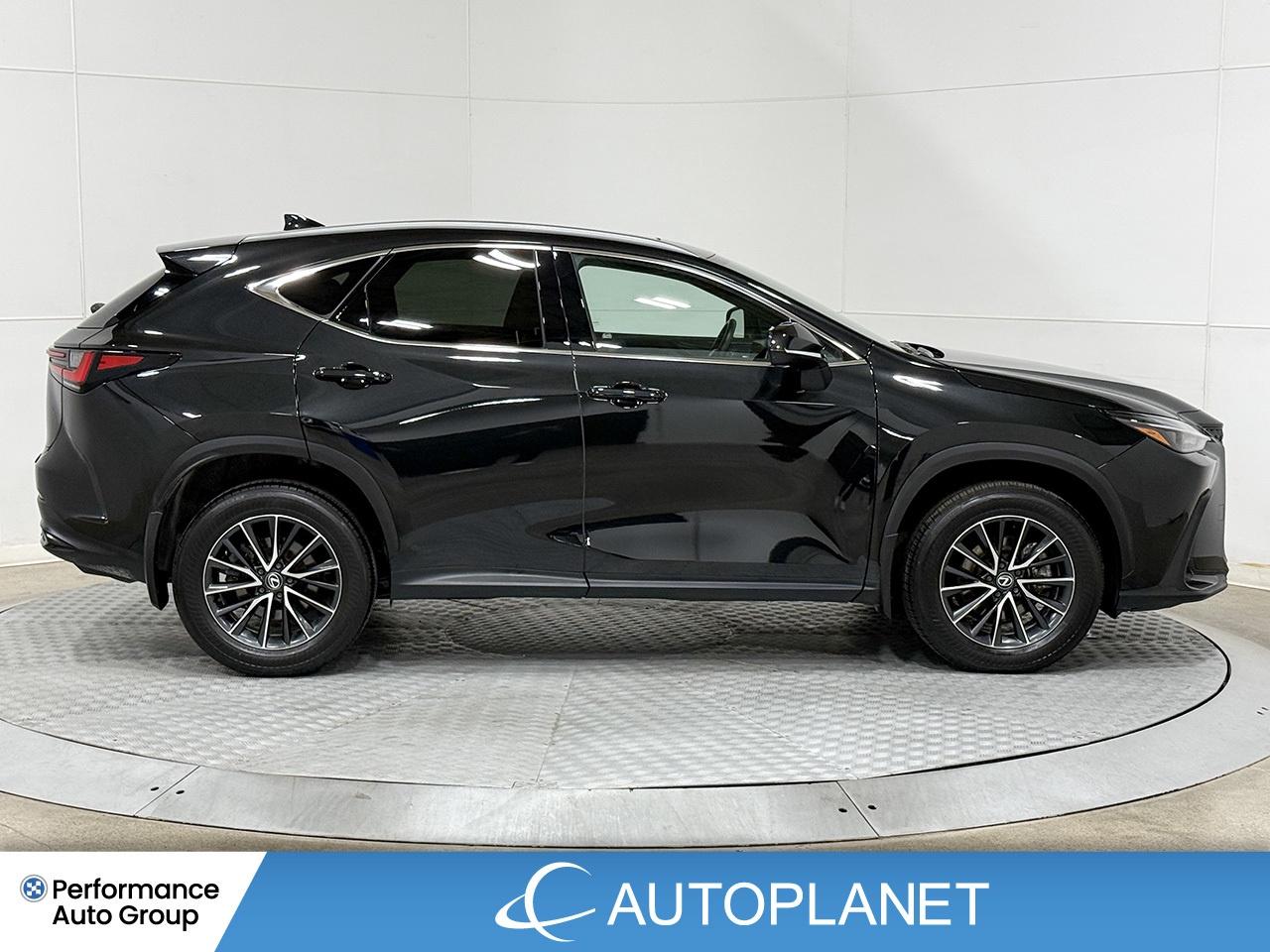 2024 Lexus NX 350 Premium AWD, Sunroof, Back Up Cam, Bluetooth! Photo