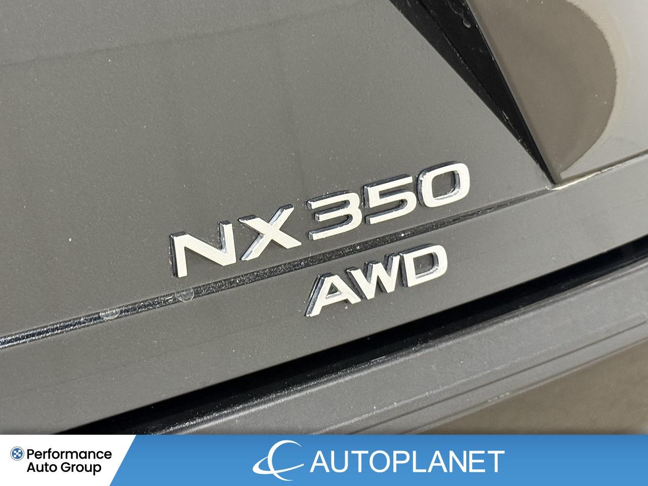 2024 Lexus NX 350 Premium AWD, Sunroof, Back Up Cam, Bluetooth! Photo