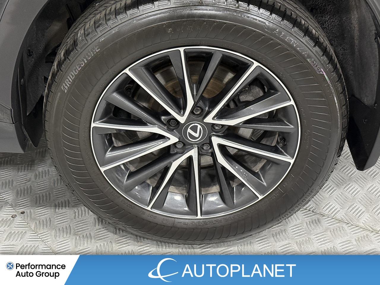 2024 Lexus NX 350 Premium AWD, Sunroof, Back Up Cam, Bluetooth! Photo