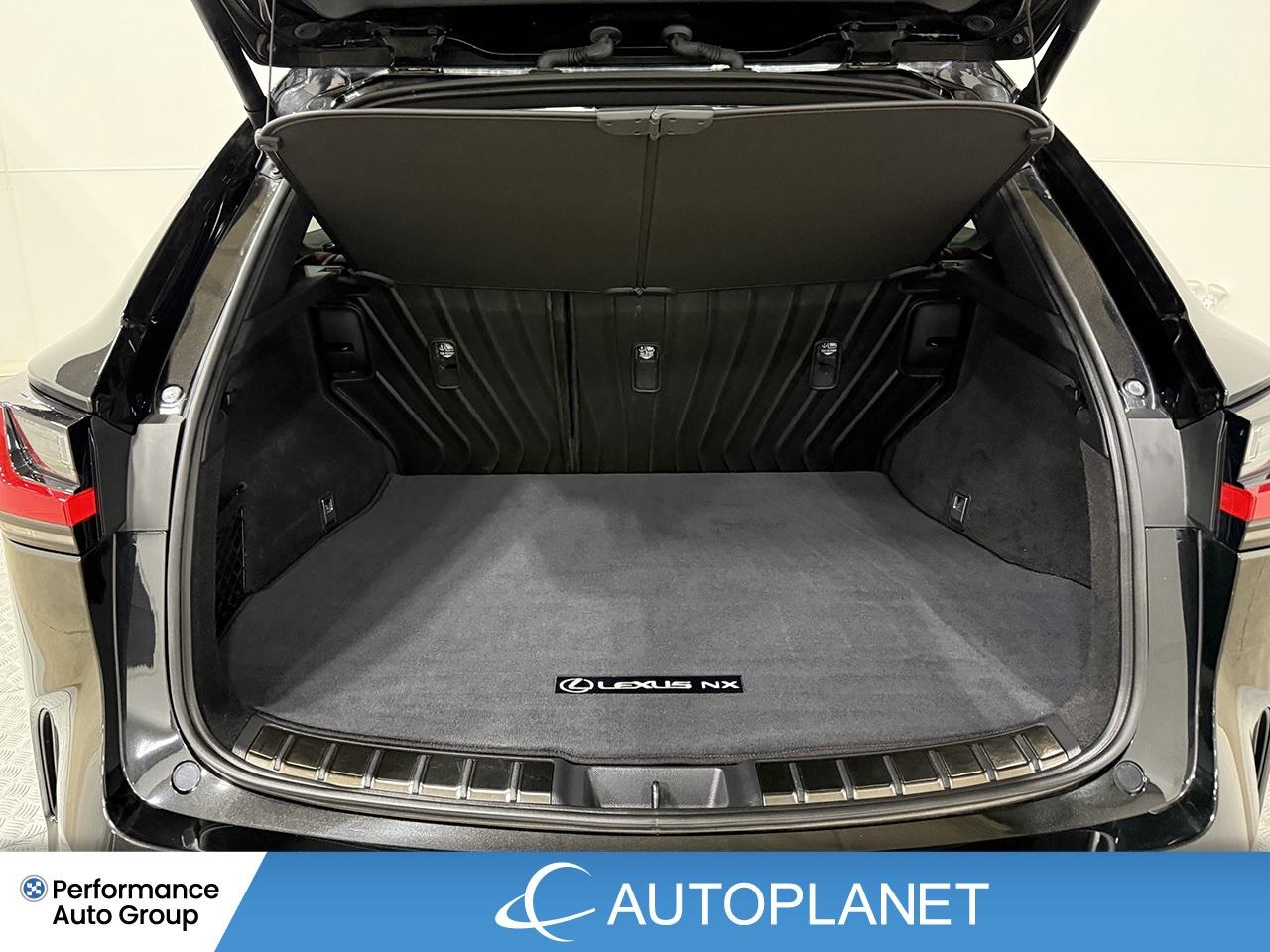 2024 Lexus NX 350 Premium AWD, Sunroof, Back Up Cam, Bluetooth! Photo